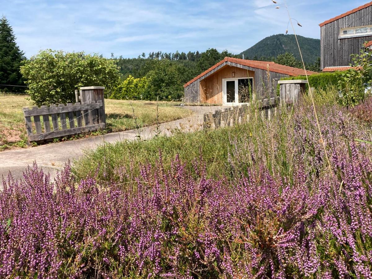 Le Chalet Dans La Nature Saulcy-sur-Meurthe Exterior photo